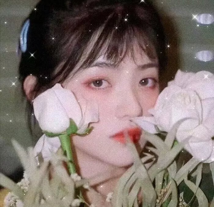 荒野上的光 排行封面